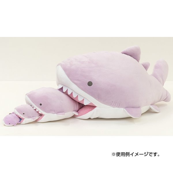 Jinbei san Shark (L)